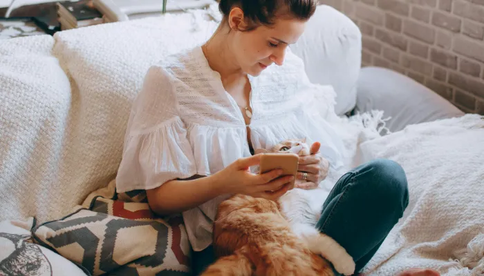 Can a Cat Translator Help with Training?