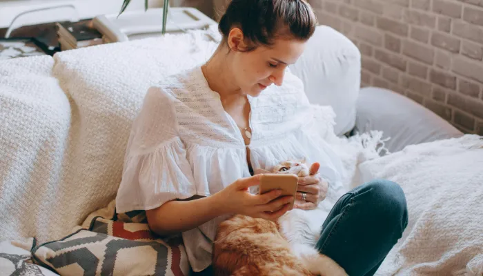 Can a Human to Cat Translator Truly Work? Can a Human to Cat Translator Truly Work?