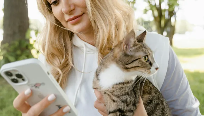 Cat Translator App: All You Need to Know