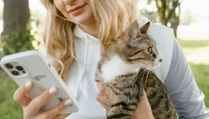 Cat Translator: Getting Started