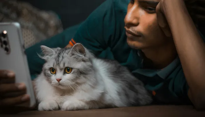 Common Cat Sounds and Their Meanings