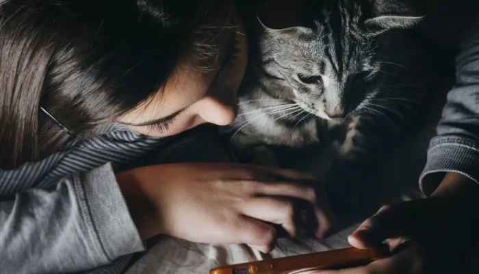 How Do Cats Say Hello?