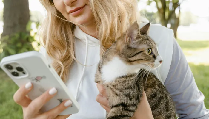 How Do Cats Say “I Love You”?