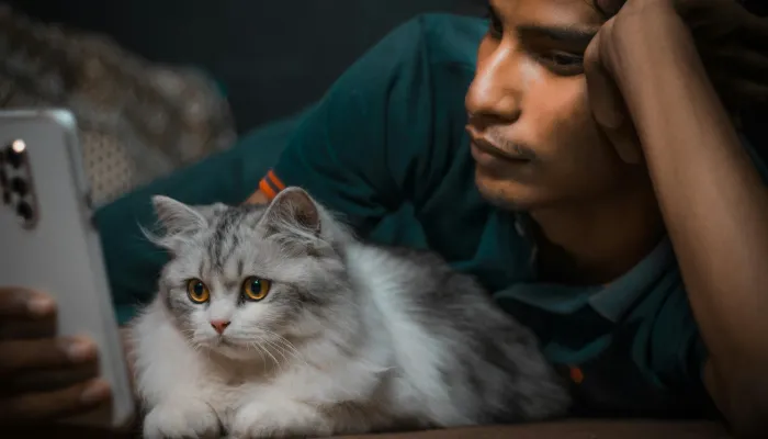 How Do I Say “Good Bye” in Cat Translator?