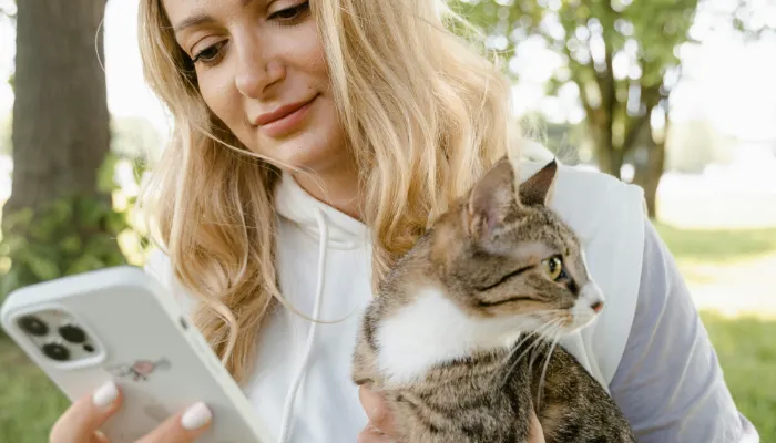 How Do I Say “I am sorry” in Cat Translator?