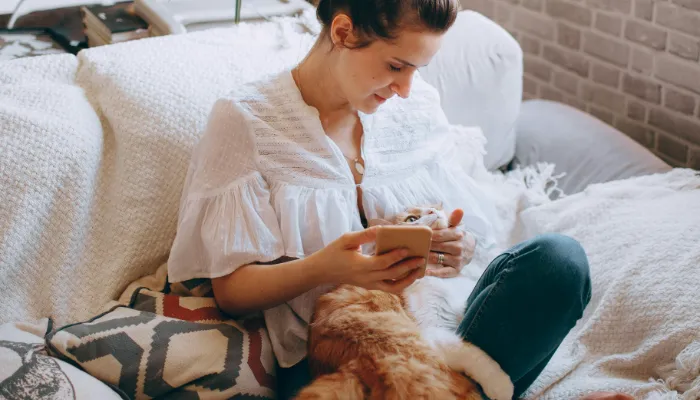 How Do I Say “No” in Cat Translator?