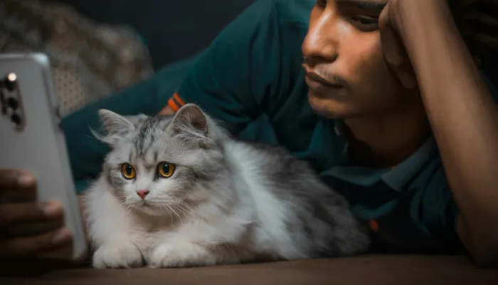 How To Speak Cat Translator?