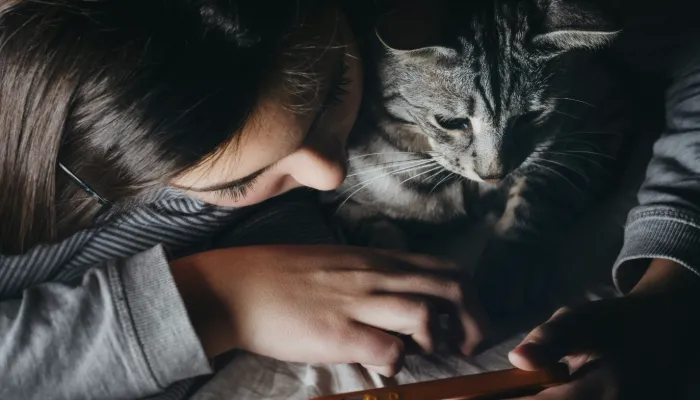 How to Use the Cat Translator App?