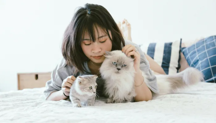 Classification of Human to Cat Translators Classification of Human to Cat Translators